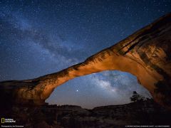 Tapeta National Geographic 589.jpg